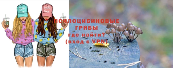 гидра Алексеевка