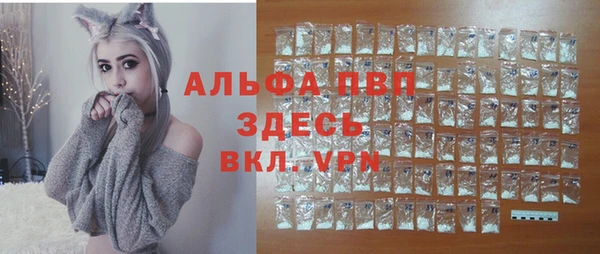 гидра Алексеевка