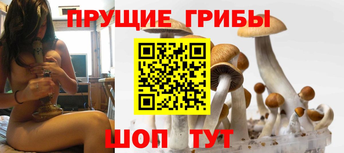 Псилоцибиновые грибы Psilocybe  Вход с VPN  Псилоцибиновые грибы Psilocybine cubensis  Алушта 